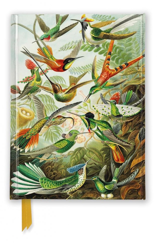 Ernst Haeckel Hummingbirds Foiled Pocket Journal
